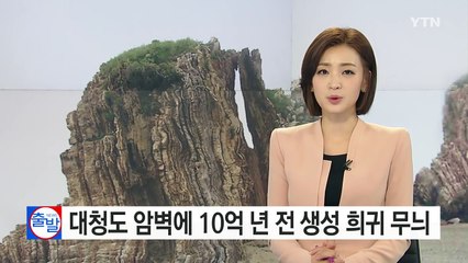대청도 암벽 희귀 무늬 발견..."10억 년 전 생성" / YTN (Yes! Top News)
