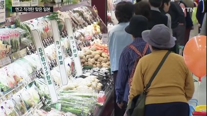 엔고 직격탄 맞은 일본...아베노믹스 '휘청' / YTN (Yes! Top News)