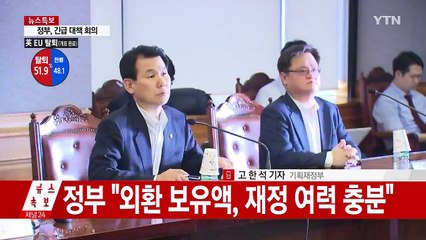 충격 최소화 안간힘..."필요하면 외환 시장 개입" / YTN (Yes! Top News)