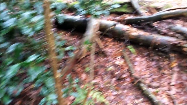 Found a Pirate #Treasure #Chest while Metal Detecting .. By XanderC