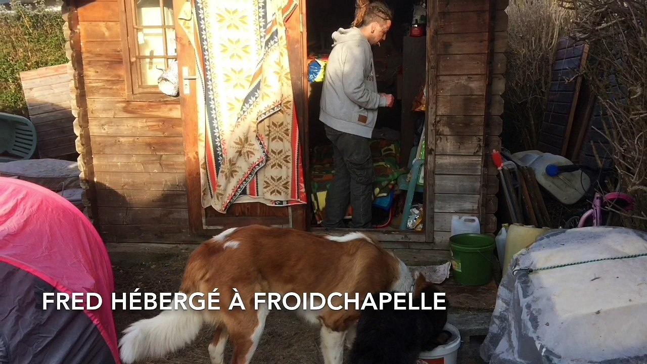 Froidchapelle/Châtelet: Fred a trouvé un toit