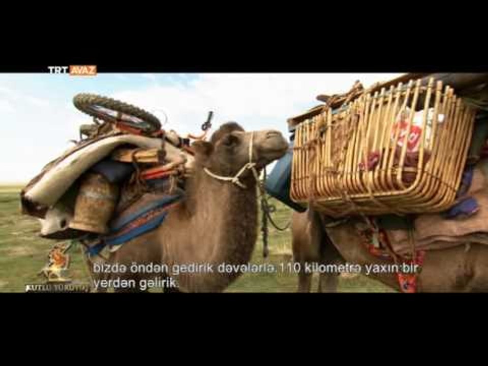 Hoton Türkleri, Kervanı Durdurdular ve... - TRT Avaz