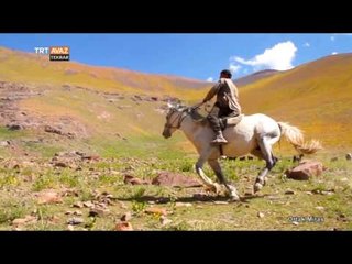 Türk Kültüründe Hangi Özel Günlerde At Yarışları Yapılıır? - Ortak Miras - TRT Avaz