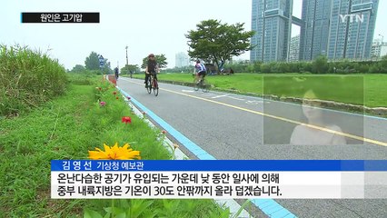 [날씨] 수도권 폭염 vs 제주도 장맛비...고기압이 원인 / YTN (Yes! Top News)