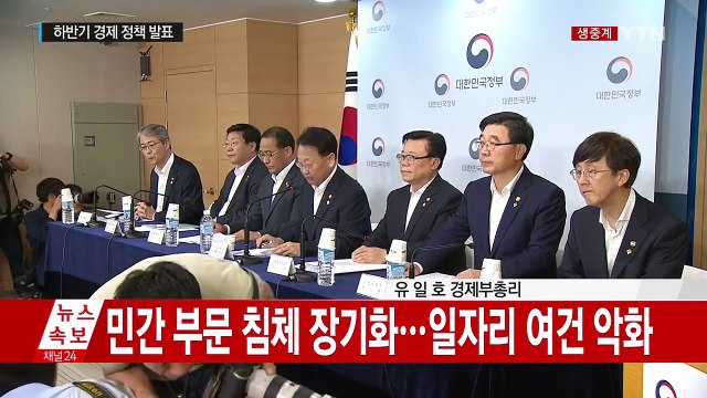정부, 하반기 경제 정책 발표…20조 재정 투입 / YTN (Yes! Top News)