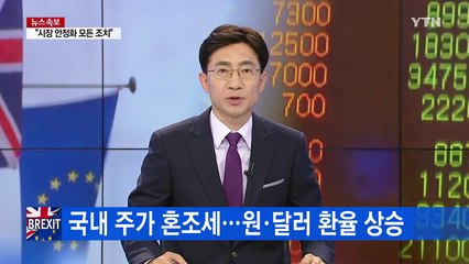주가 혼조세...원·달러 환율 상승 / YTN (Yes! Top News)