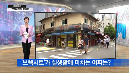 [쏙쏙] 송금은 빨리 하고 유럽차 사려면 기다리고…'브렉시트의 경제학' / YTN (Yes! Top News)