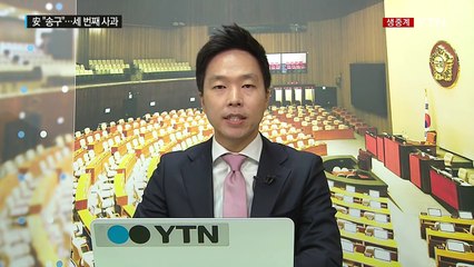 安 "거듭 송구"...더민주 "서영교 문제 국민께 사과" / YTN (Yes! Top News)