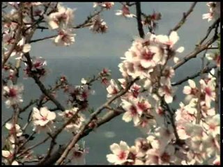 Çekirgenin Notları - TRT Okul'da