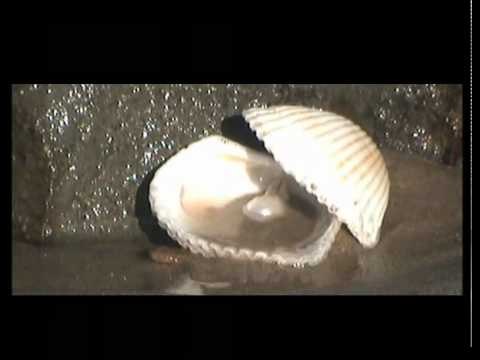 İnci Taneleri 1 Mayıs Salı 16.25'te TRT Okul'da...