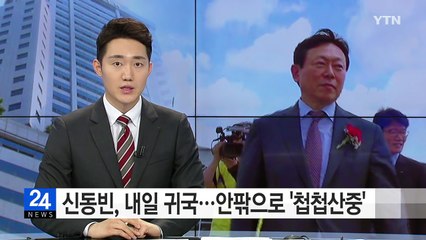 신동빈, 내일 귀국...안팎으로 '첩첩산중' / YTN (Yes! Top News)