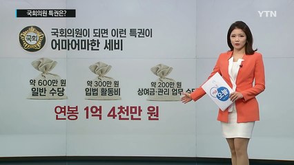 '금배지' 특권 200여 가지...너무 많은거 아닌가요? / YTN (Yes! Top News)