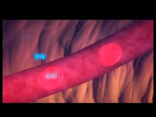 Anatomi Atlası 15 Ekim Pazartesi 15.55'te TRT Okul'da...