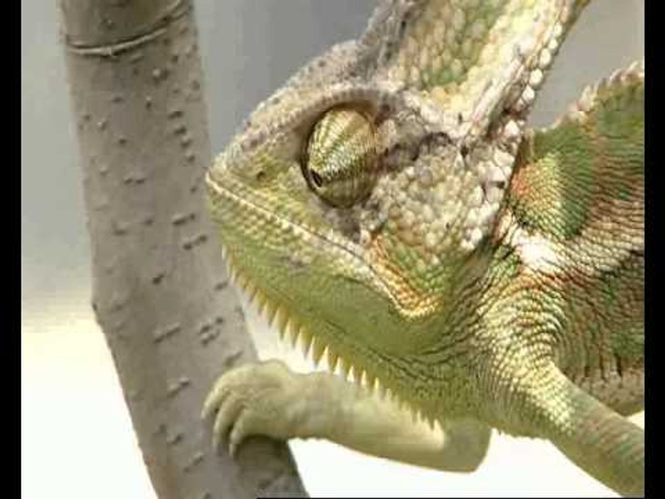 Bir Evde Her Çarşamba 21.15'te TRT Okul'da - TRT Okul