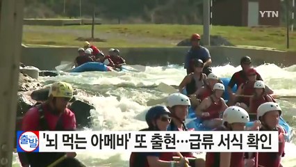 '뇌 먹는 아메바' 또 출현...급류 서식 확인 / YTN (Yes! Top News)