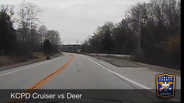 Cop car hits deer - Dashcam from Kenton County Police - TomoNews
