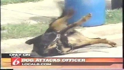 Dog attacks Police Officer Taser Full News Report