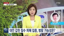 대전 갑천 만년교 홍수 직전, 현재 상황은? / YTN (Yes! Top News)