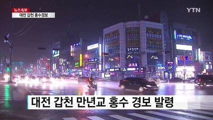 대전 갑천에 홍수경보...충청지역 190㎜ 물폭탄 / YTN (Yes! Top News)