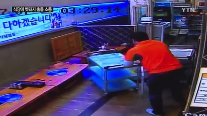 감자탕 먹다가 날벼락...멧돼지 출몰 소동 / YTN (Yes! Top News)