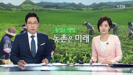'발효강국의 자존심' 전통 장맛 비결 보급 / YTN (Yes! Top News)