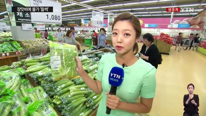 계속된 장맛비에 장바구니 물가 '들썩' / YTN (Yes! Top News)