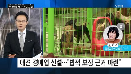 반려동물 생산, 허가제 도입...애견 경매·온라인 판매는 그대로? / YTN (Yes! Top News)