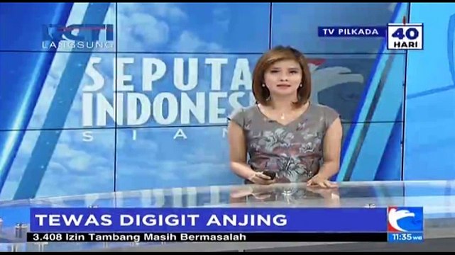 Bocah 11 Tahun Tewas Digigit 6 Anjing