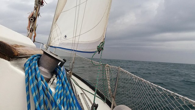 Tamarin : l'hiver ici n'est pas l'hiver