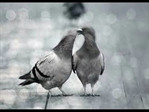 Bahram Jan And Bakhan Minawal Pashto New Sad Tapay 2016