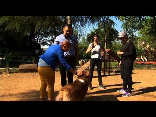 Korkunla Yüzleş - Fragman - TRT Okul