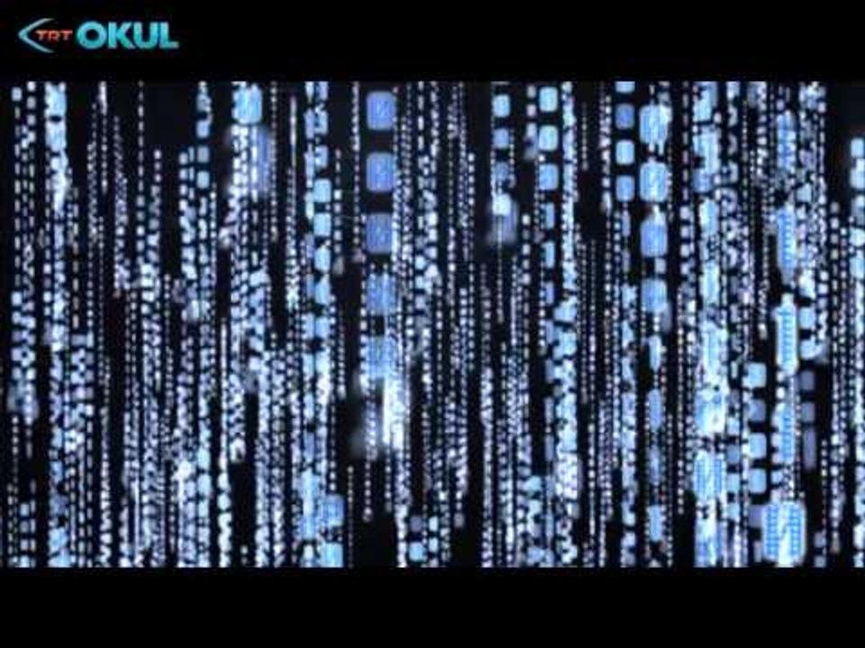 Anatomi Atlası - 1. Bölüm / Beyin - TRT Okul