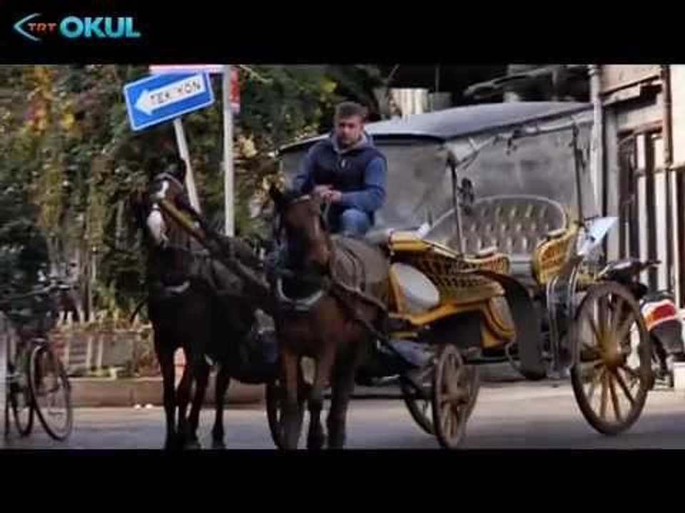 Her Yer Resim Olsun - 9. Bölüm - TRT Okul