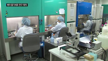 체세포 복제 배아 줄기세포 연구 7년 만에 재개 / YTN (Yes! Top News)
