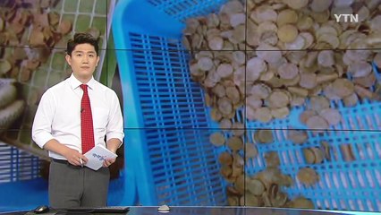 상반기 '손상 화폐' 1조 5천억…비용만 219억 원 / YTN (Yes! Top News)