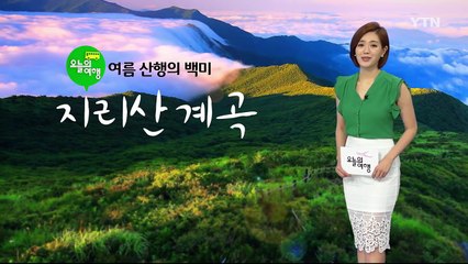 여름 산행의 백미 '지리산 계곡' / YTN (Yes! Top News)