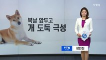 천연기념물 '동경이'도 10만 원에 건강원으로... / YTN (Yes! Top News)