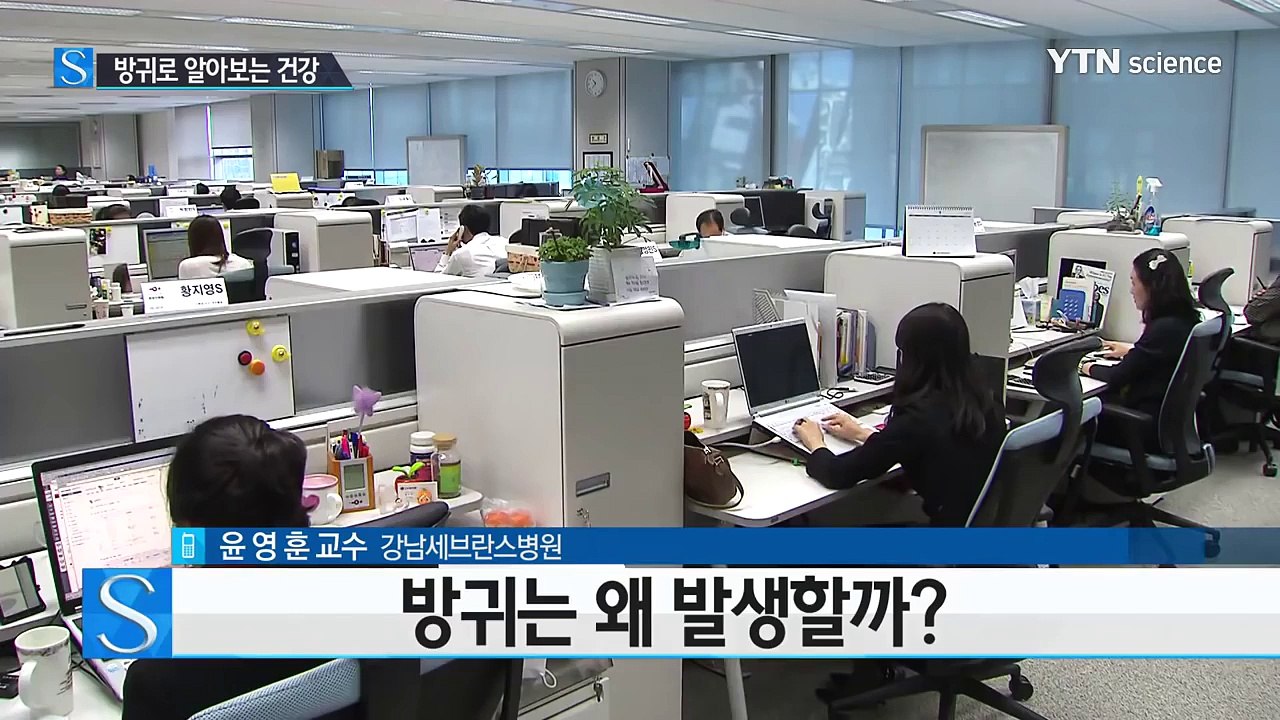 혹시 건강 이상 신호? 방귀로 알아보는 건강 / YTN (Yes! Top News)