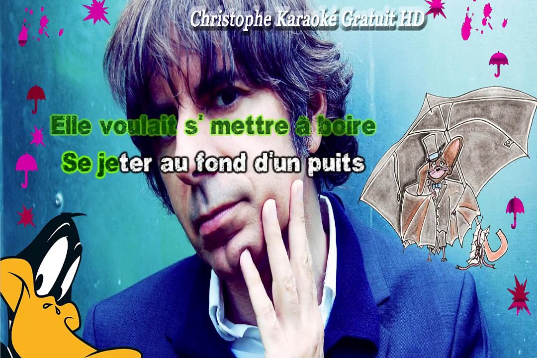 Thomas Fersen - La chauve souris KARAOKE / INSTRUMENTAL