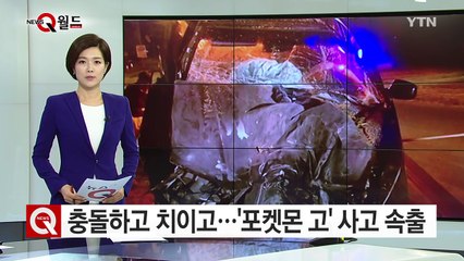 '나무에 충돌하고, 차에 치이고'...美 '포켓몬 고' 게임 하다 사고 속출 / YTN (Yes! Top News)