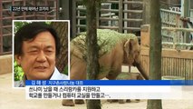 22년 만에 태어난 아기 코끼리 첫 공개 / YTN (Yes! Top News)