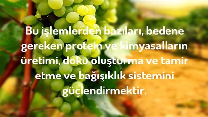Karaciğeri Doğal Olarak Temizleyen Altı Gıda izleyelim ögrenelim