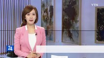 이응노 화백 동반자 박인경...'추상이 된 자연' 특별전 / YTN (Yes! Top News)