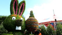 Folie'flore: jardins et lapins au Parc-Expo de...
