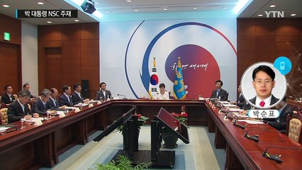 박근혜 대통령 "비난·저항에 대통령 흔들리면 나라 불안" / YTN (Yes! Top News)