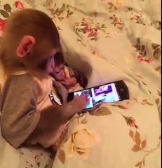 What a Funny Monkey قرد رهيب ماسك موبايل تاتش