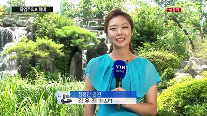 [날씨] 폭염주의보 확대...나무 그늘과 물가 체감온도↓ / YTN (Yes! Top News)