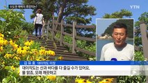가까운 대이작도...수도권 휴가지 재미 '쏠쏠' / YTN (Yes! Top News)