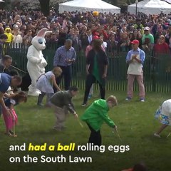 Relive the Obamas' Last Year in Office . . . and Try Not to Cry