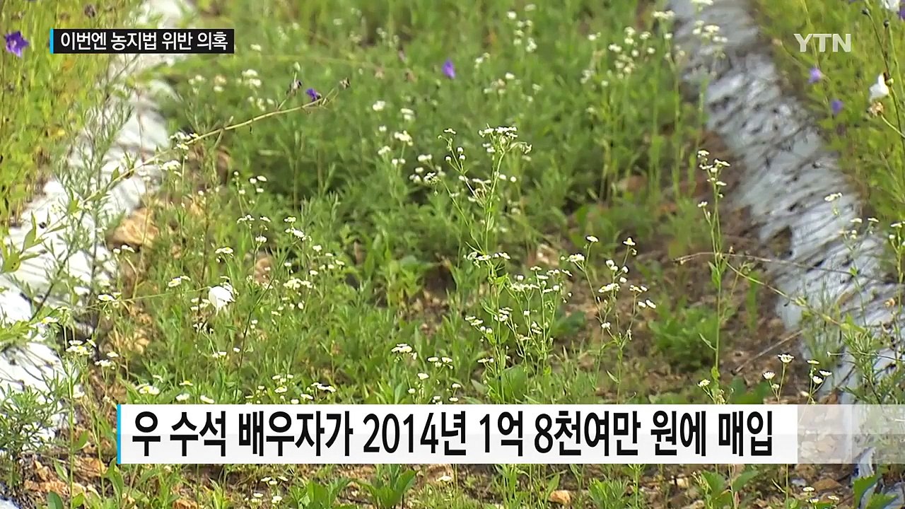 우병우 처가 '농지법 위반' 의혹...고소·고발 사건 부장이 직접 수사 / YTN (...